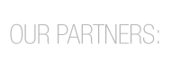 Minnesota website hosting partners